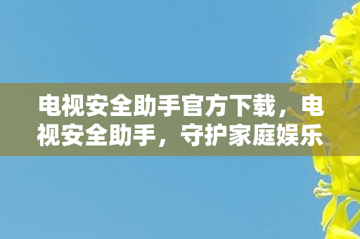 电视安全助手官方下载，电视安全助手，守护家庭娱乐的隐形盾牌