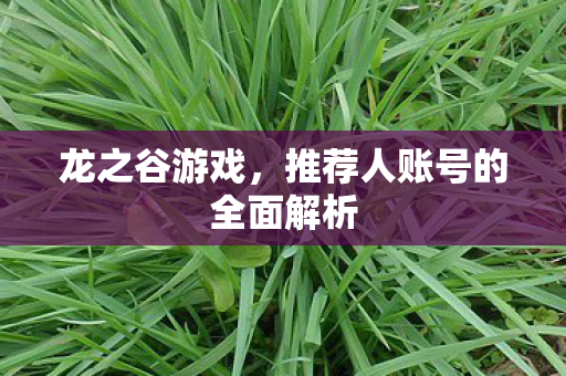 龙之谷游戏，推荐人账号的全面解析