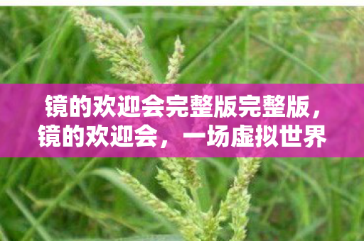 镜的欢迎会完整版完整版，镜的欢迎会，一场虚拟世界的盛宴
