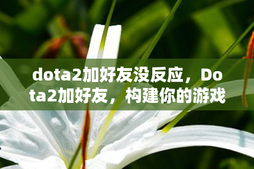 dota2加好友没反应,Dota2加好友,构建你的游戏社交圈 dota2加好友没反应,Dota2加好友,构建你的游戏社交圈