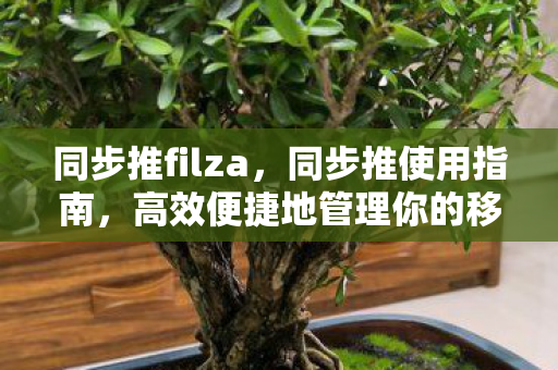 同步推filza,同步推使用指南,高效便捷地管理你的移动设备资源 同步推filza,同步推使用指南,高效便捷地管理你的移动设备资源