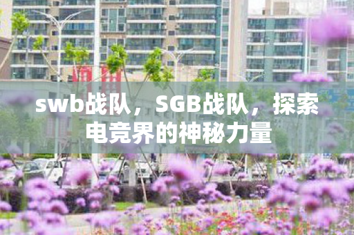 swb战队，SGB战队，探索电竞界的神秘力量