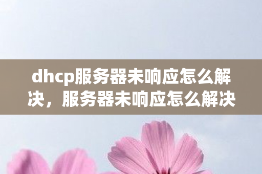 dhcp服务器未响应怎么解决,服务器未响应怎么解决 dhcp服务器未响应怎么解决,服务器未响应怎么解决