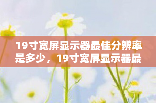 19寸宽屏显示器最佳分辨率是多少，19寸宽屏显示器最佳分辨率，解锁高清视觉体验