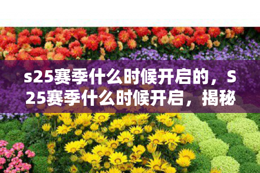 s25赛季什么时候开启的，S25赛季什么时候开启，揭秘王者荣耀新赛季的开启时间