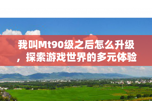 我叫Mt90级之后怎么升级,探索游戏世界的多元体验,从官方到私服的深度解析 我叫Mt90级之后怎么升级,探索游戏世界的多元体验,从官方到私服的深度解析