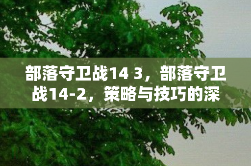 部落守卫战14 3,部落守卫战14-2,策略与技巧的深度剖析 部落守卫战14 3,部落守卫战14-2,策略与技巧的深度剖析