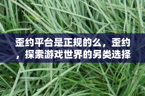 歪约平台是正规的么，歪约，探索游戏世界的另类选择