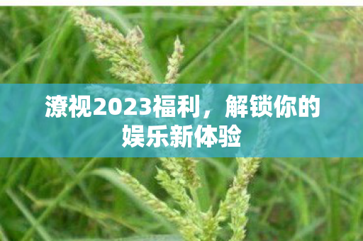 潦视2023福利，解锁你的娱乐新体验