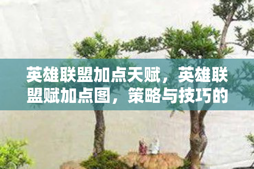 英雄联盟加点天赋，英雄联盟赋加点图，策略与技巧的深度剖析