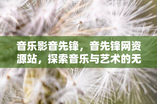 音乐影音先锋，音先锋网资源站，探索音乐与艺术的无限可能