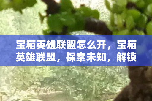 宝箱英雄联盟怎么开，宝箱英雄联盟，探索未知，解锁无限可能