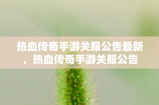 热血传奇手游关服公告最新,热血传奇手游关服公告 热血传奇手游关服公告最新,热血传奇手游关服公告