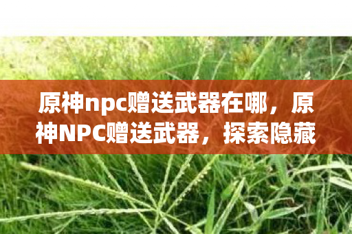 原神npc赠送武器在哪，原神NPC赠送武器，探索隐藏宝藏，提升角色实力