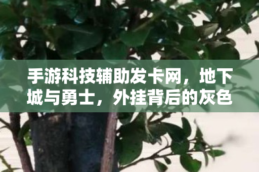 手游科技辅助发卡网，地下城与勇士，外挂背后的灰色产业链