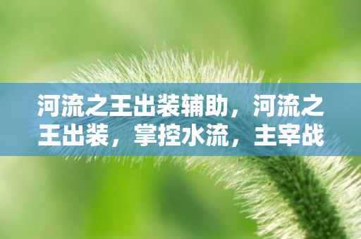河流之王出装辅助,河流之王出装,掌控水流,主宰战场的秘宝 河流之王出装辅助,河流之王出装,掌控水流,主宰战场的秘宝