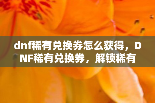 dnf稀有兑换券怎么获得，DNF稀有兑换券，解锁稀有装备，提升战斗力的神秘钥匙