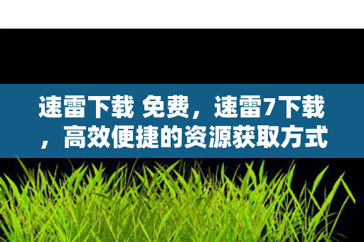 速雷下载 免费，速雷7下载，高效便捷的资源获取方式
