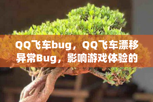 QQ飞车bug,QQ飞车漂移异常Bug,影响游戏体验的深层解析 QQ飞车bug,QQ飞车漂移异常Bug,影响游戏体验的深层解析