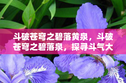 斗破苍穹之碧落黄泉,斗破苍穹之碧落泉,探寻斗气大陆的神秘源泉 斗破苍穹之碧落黄泉,斗破苍穹之碧落泉,探寻斗气大陆的神秘源泉