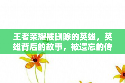 王者荣耀被删除的英雄，英雄背后的故事，被遗忘的传奇