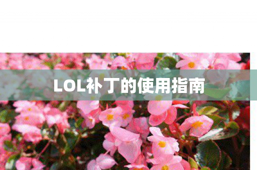 LOL补丁的使用指南