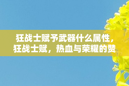 狂战士赋予武器什么属性，狂战士赋，热血与荣耀的赞歌