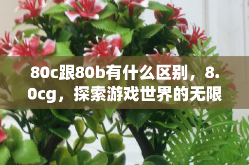 80c跟80b有什么区别，8.0cg，探索游戏世界的无限可能