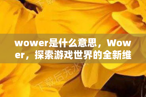 wower是什么意思,Wower,探索游戏世界的全新维度 wower是什么意思,Wower,探索游戏世界的全新维度