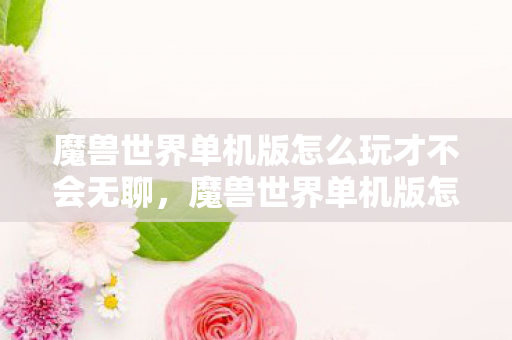 魔兽世界单机版怎么玩才不会无聊，魔兽世界单机版怎么玩