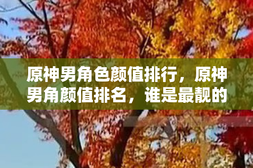 原神男角色颜值排行,原神男角颜值排名,谁是最靓的仔? 原神男角色颜值排行,原神男角颜值排名,谁是最靓的仔?