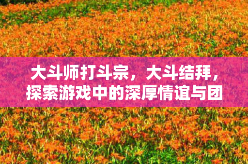 大斗师打斗宗，大斗结拜，探索游戏中的深厚情谊与团队精神