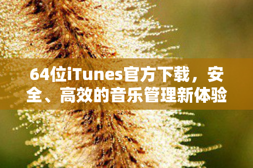 64位iTunes官方下载，安全、高效的音乐管理新体验