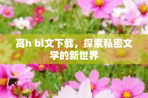高h bl文下载，探索私密文学的新世界