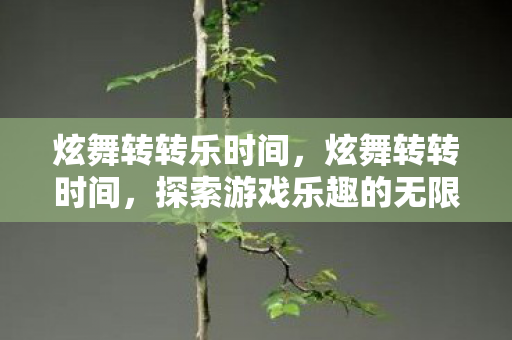 炫舞转转乐时间，炫舞转转时间，探索游戏乐趣的无限可能