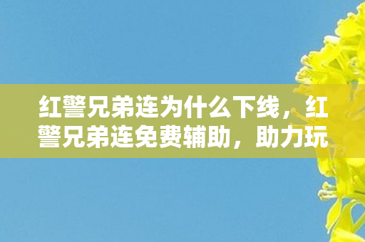 红警兄弟连为什么下线，红警兄弟连免费辅助，助力玩家提升游戏体验的利器