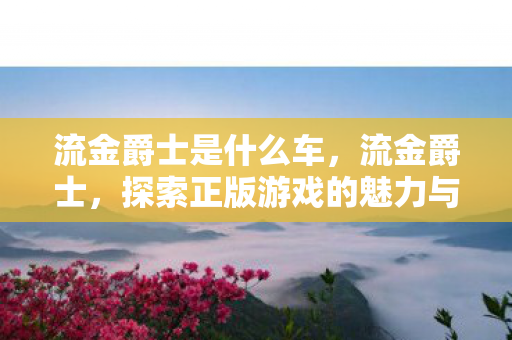 流金爵士是什么车，流金爵士，探索正版游戏的魅力与未来