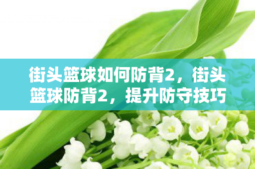 街头篮球如何防背2,街头篮球防背2,提升防守技巧,打造无敌防线 街头篮球如何防背2,街头篮球防背2,提升防守技巧,打造无敌防线