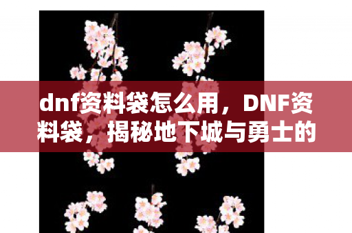 dnf资料袋怎么用，DNF资料袋，揭秘地下城与勇士的珍贵资料与实用指南