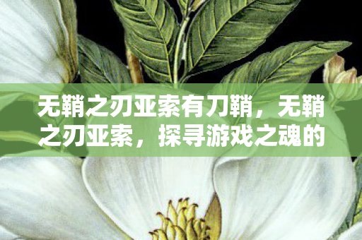 无鞘之刃亚索有刀鞘，无鞘之刃亚索，探寻游戏之魂的极致