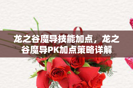 龙之谷魔导技能加点，龙之谷魔导PK加点策略详解