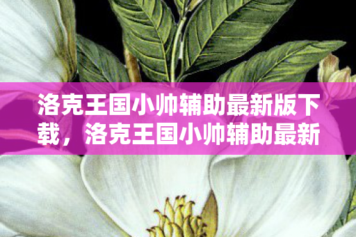 洛克王国小帅辅助最新版下载，洛克王国小帅辅助最新版，提升游戏体验的得力助手