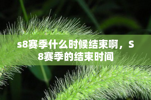 s8赛季什么时候结束啊,S8赛季的结束时间 s8赛季什么时候结束啊,S8赛季的结束时间