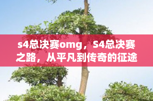 s4总决赛omg，S4总决赛之路，从平凡到传奇的征途