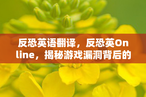 反恐英语翻译，反恐英Online，揭秘游戏漏洞背后的挑战与应对