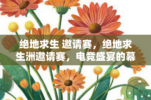 绝地求生 邀请赛，绝地求生洲邀请赛，电竞盛宴的幕后揭秘