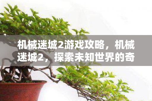 机械迷城2游戏攻略，机械迷城2，探索未知世界的奇妙冒险