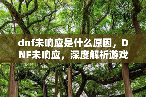 dnf未响应是什么原因，DNF未响应，深度解析游戏卡顿与性能优化