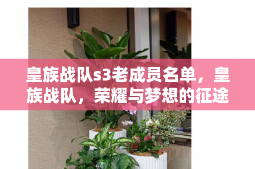 皇族战队s3老成员名单,皇族战队,荣耀与梦想的征途 皇族战队s3老成员名单,皇族战队,荣耀与梦想的征途