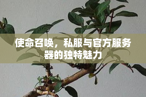 使命召唤，私服与官方服务器的独特魅力